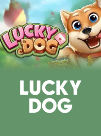 Melhor app de app de cassino é 5hhh com app baixar 5hhh